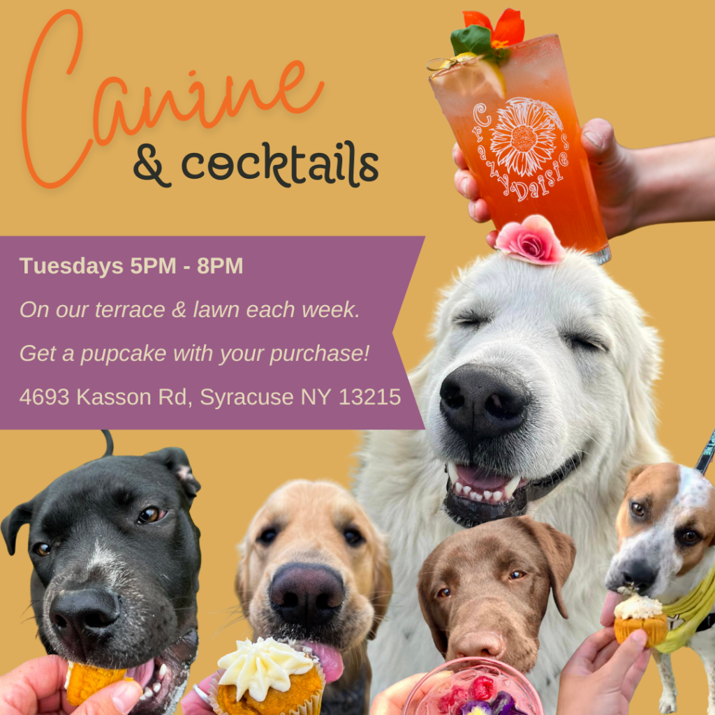 Canine & Cocktails event flyer with dogs and cocktails