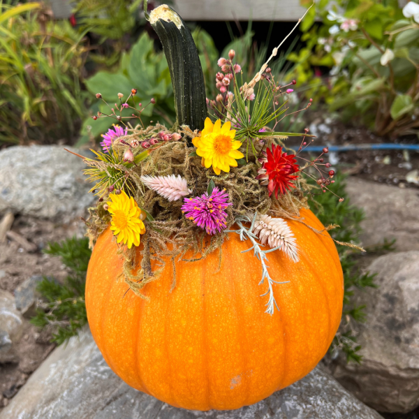 Dried Flower Pumpkins